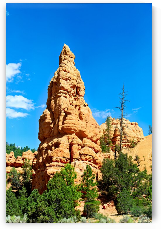 NP USA 00428 by Marco Brivio