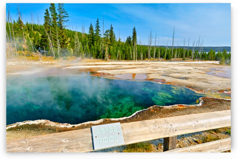 Tourists can see the deep blue Abyss Pool in Yellowstone National Park with steam rising from the hot springs during the warm afternoon. by Marco Brivio