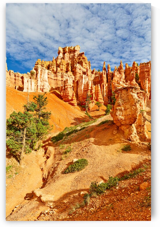 Explore queens garden in bryce canyon national park by Marco Brivio