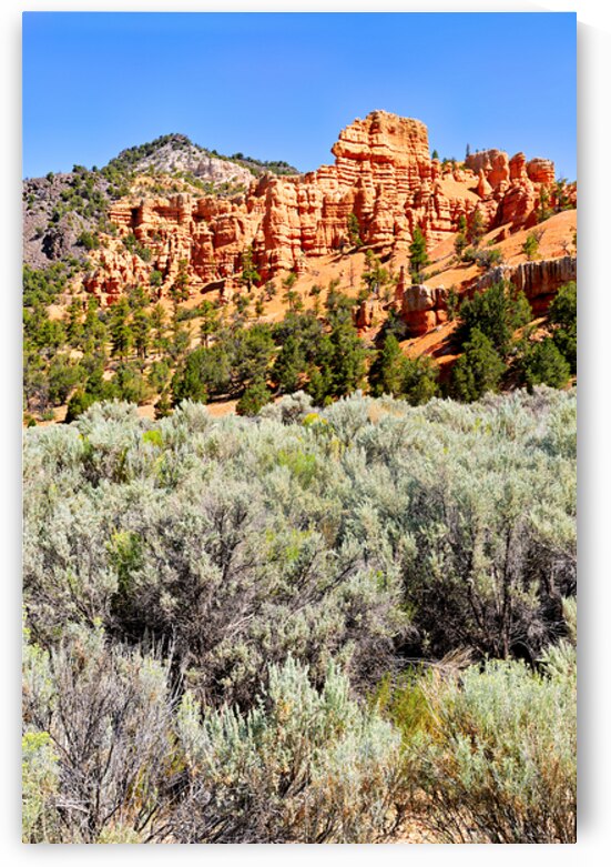 Visit Dixie National Forest in Utah with red rock formations by Marco Brivio