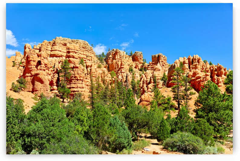 Scenes from Dixie National Forest in Utah during daytime by Marco Brivio