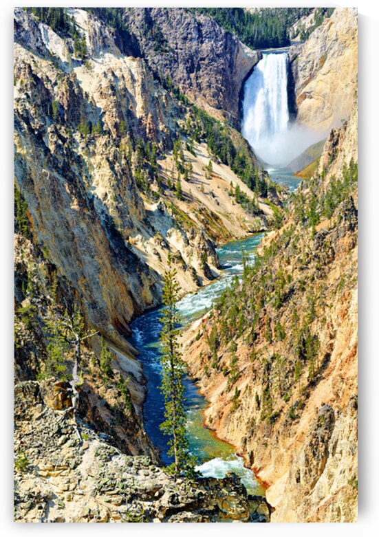 View of Grand Canyon in Yellowstone National Park with waterfall by Marco Brivio
