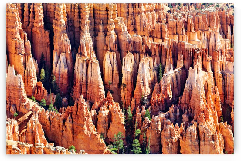 Hoodoos at inspiration point bryce canyon np by Marco Brivio