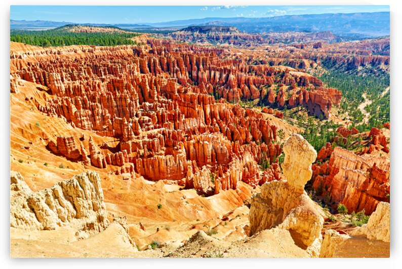 View from inspiration point in bryce canyon national park by Marco Brivio