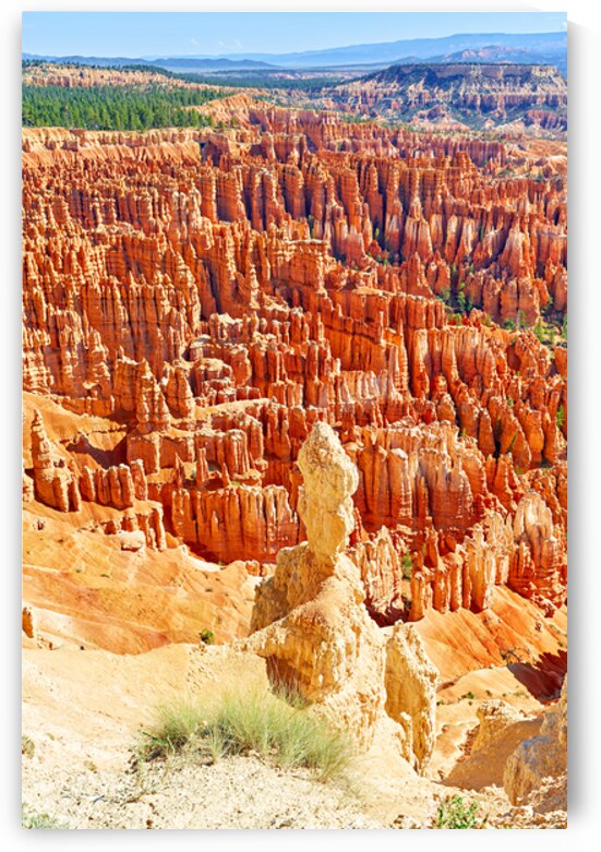 Visit inspiration point at bryce canyon national park in utah by Marco Brivio