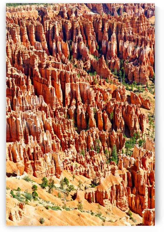 View from inspiration point at bryce canyon national park by Marco Brivio
