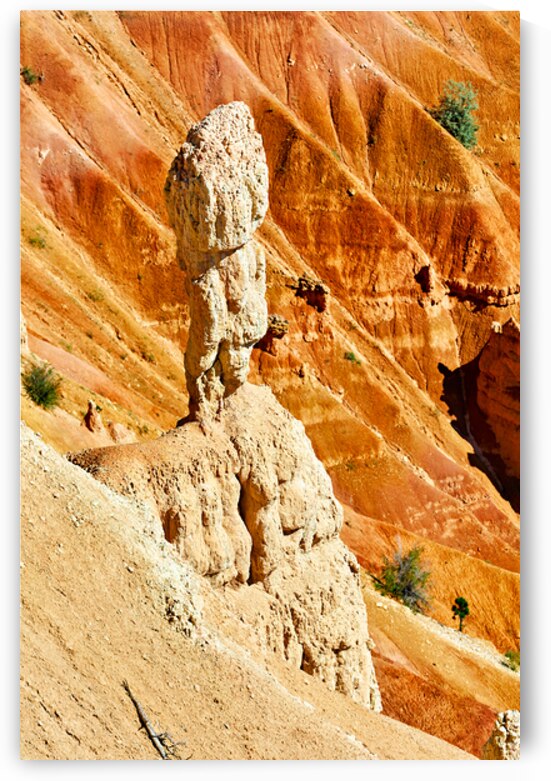 View of hoodoo rock at Inspiration Point in Bryce Canyon Park by Marco Brivio