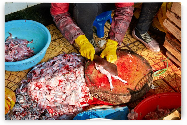 Market activity in Hanoi with fish preparation in progress by Marco Brivio