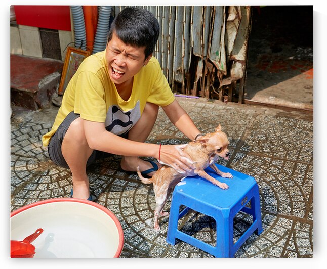 Boy washing a small dog in Ho Chi Minh City by Marco Brivio
