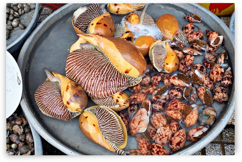 Seafood market in Phu Quoc with shells and clams for sale by Marco Brivio