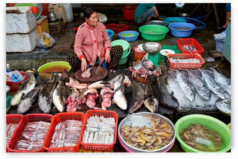 Woman sells fish at market in Phu Quoc Vietnam during daytime by Marco Brivio