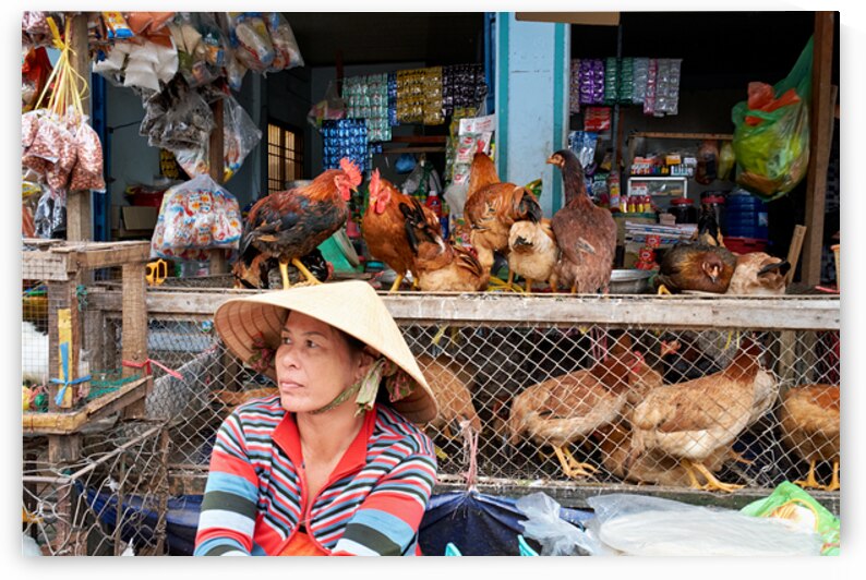 Market scene in Phu Quoc with vendor and chickens by Marco Brivio