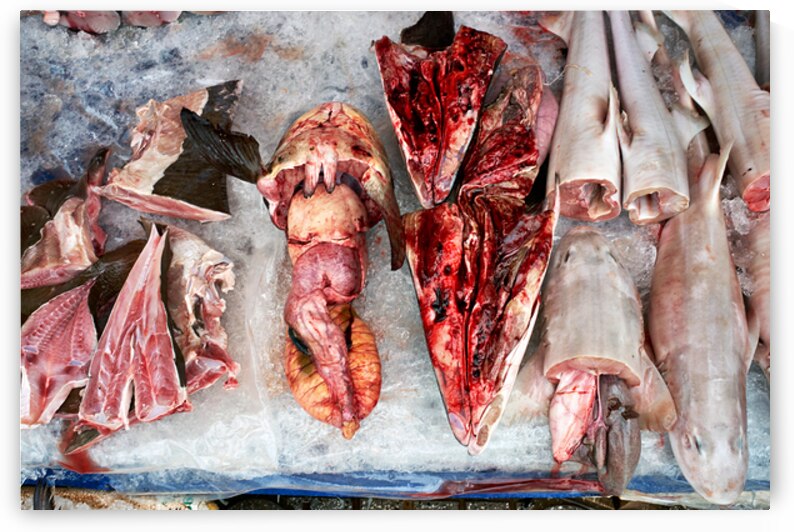 Fish market display in Phu Quoc Vietnam with seafood by Marco Brivio