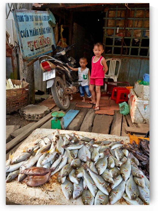 Children at a fish stall in Phu Quoc Vietnam during the day by Marco Brivio