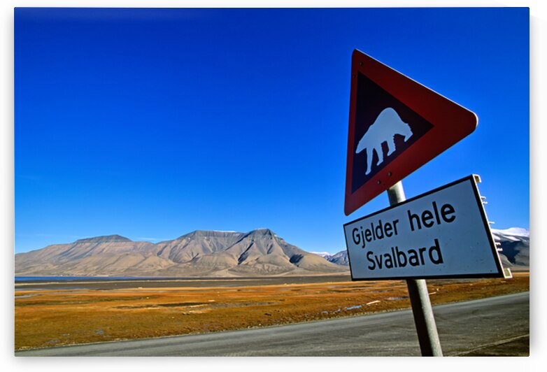 Warning sign for polar bears in Longyearbyen Svalbard by Marco Brivio