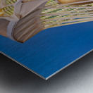 Visit to Museu de les Ciències Príncipe Felipe in Valencia Spa Metal print