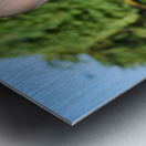 Portrait of a young Buddhist monk in orange robe. Metal print