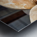 Multiple human skulls on display. Metal print