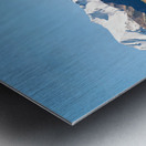 Cattles grazing in the countryside of New Zealand Southern Alps Metal print