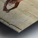 Sacred ablutions at the Ganges river in Varanasi Uttar Pradesh Metal print