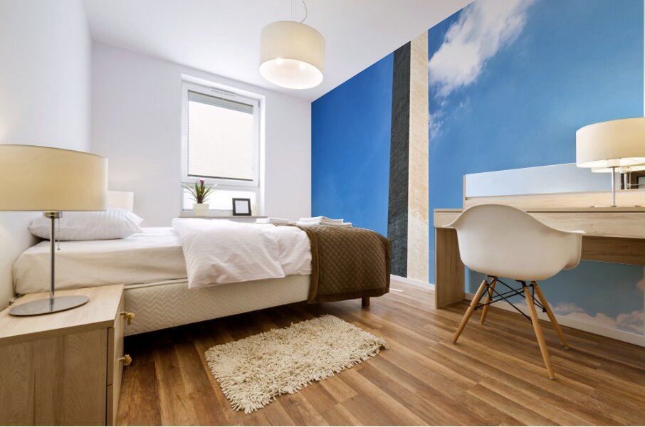 The Washington Monument. Washington D.C. Mural print