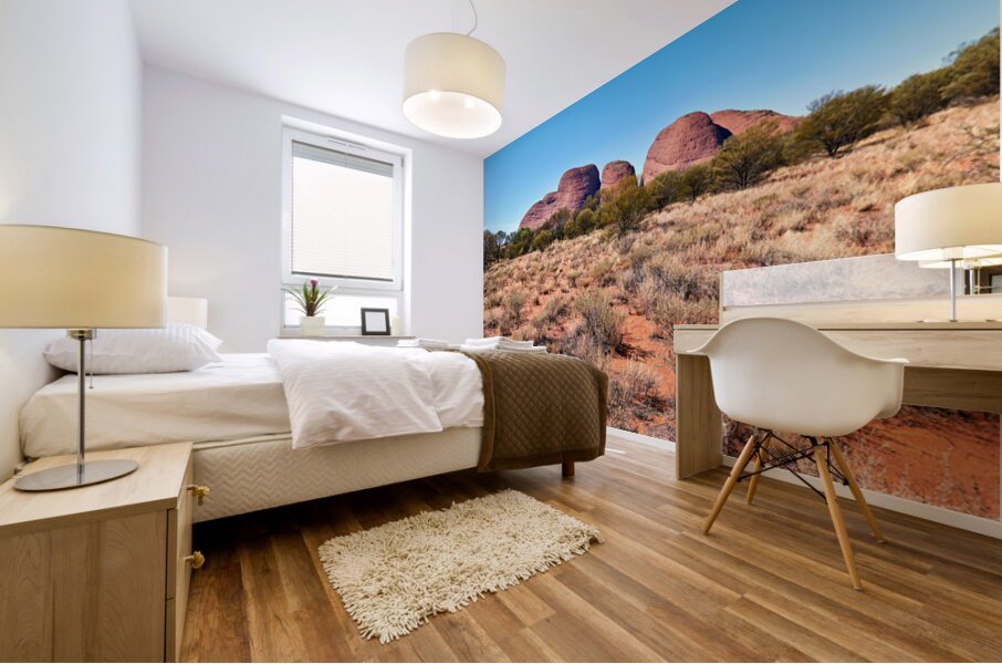 Visit Olgas in Kata Tjuta National Park Australia near Uluru Mural print