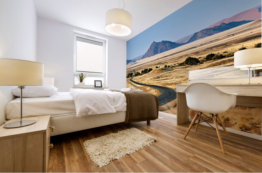 Driving through Namib Naukluft National Park towards Sossusvlei  Mural print