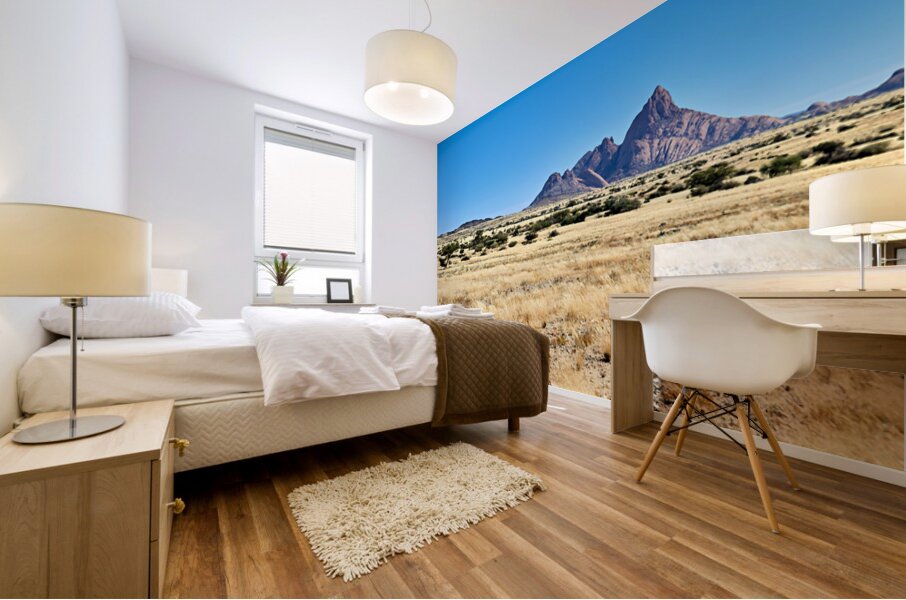 Granite peaks of Spizkoppe rise above the Namib Desert in Namibi Mural print