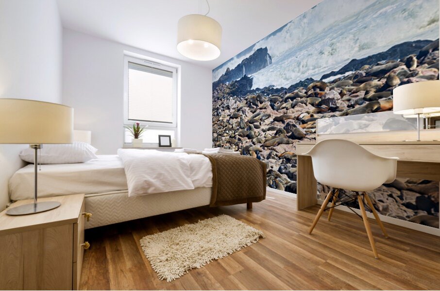 Cape fur seals resting on Skeleton Coast in Namibia near Cape Cr Mural print