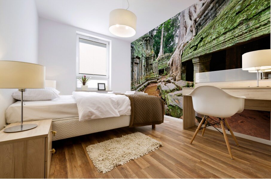 Ancient temple ruins consumed by giant tree roots and jungle. Mural print