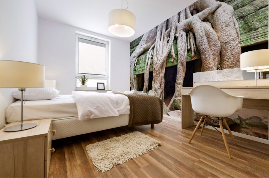 Massive tree roots dominate ancient mossy temple structure. Mural print