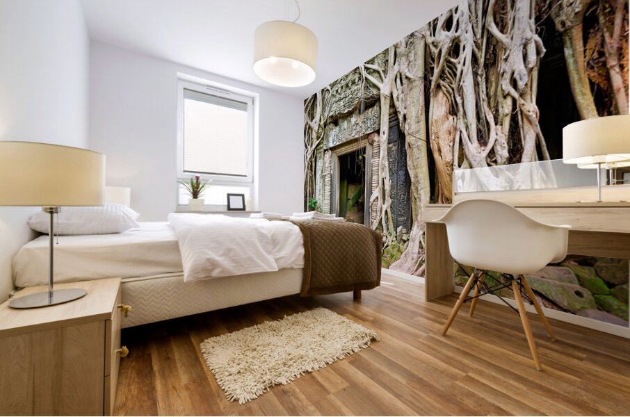 Ancient temple ruins consumed by massive tree roots. Mural print