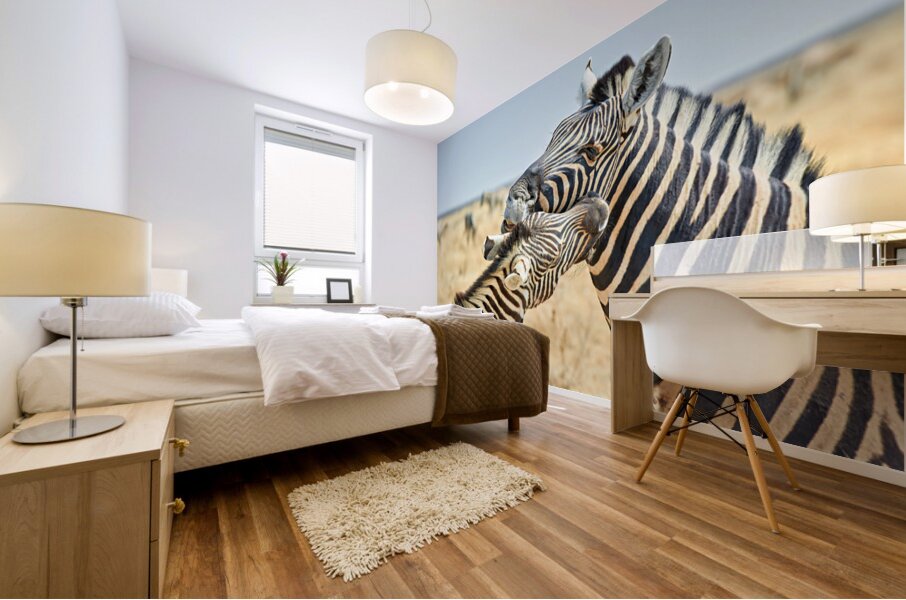 Zebras cuddle together in the wild at Etosha National Park in Na Mural print