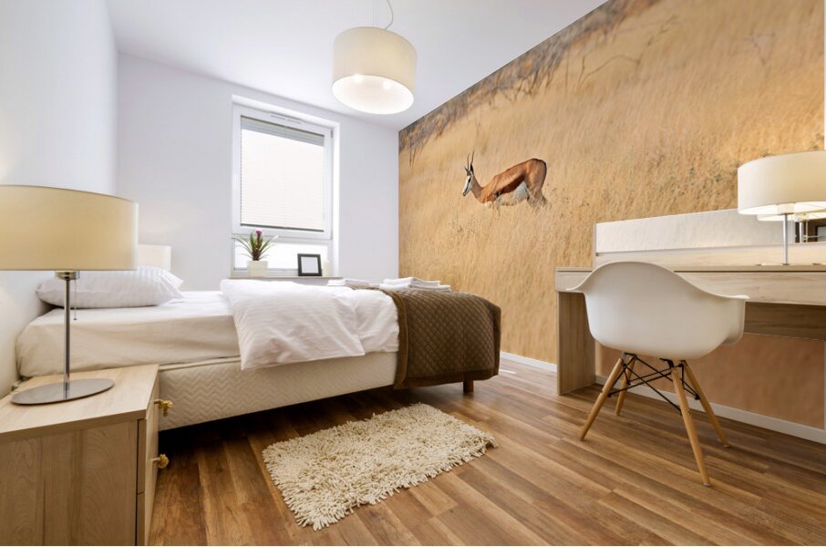 Springbok gazelle antelope walking in Etosha National Park Namib Mural print