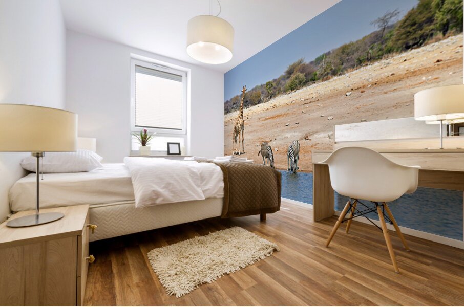 Giraffe and zebras drink water together at a waterhole in Namibi Mural print