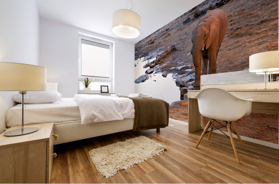 Elephant drinks at waterhole during sunset in Etosha National Pa Mural print