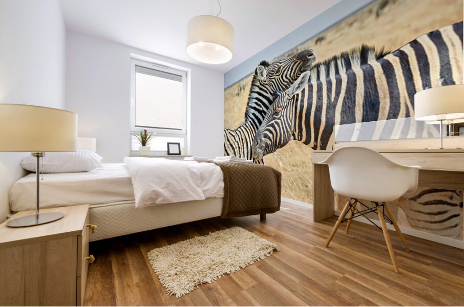 Zebras cuddle in Etosha National Park in Namibia during daylight Mural print