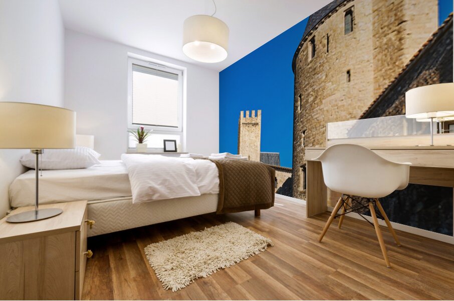 Visit to Carcassonne in France by the medieval fortress walls Mural print