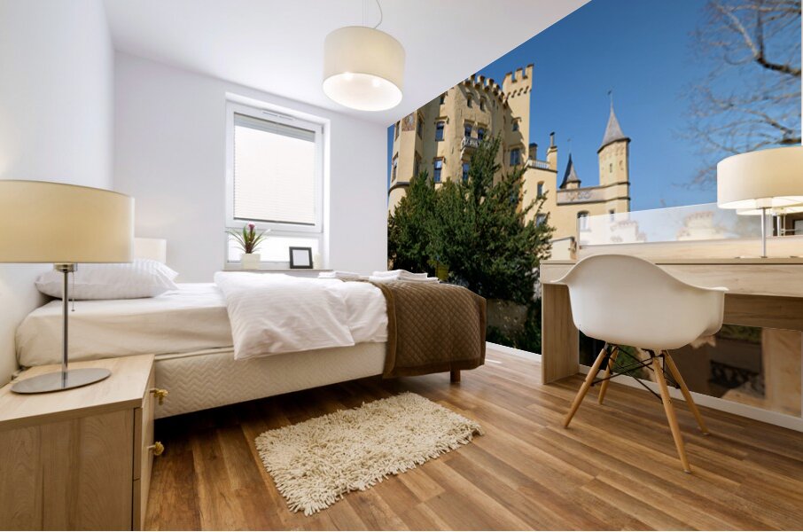 Hohenschwangau castle along the Romantic Road in Bavaria German Mural print