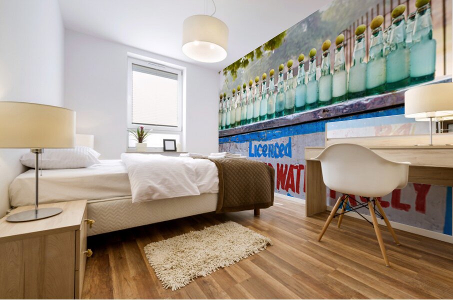 Selling refrigerated water bottles in Delhi India Mural print