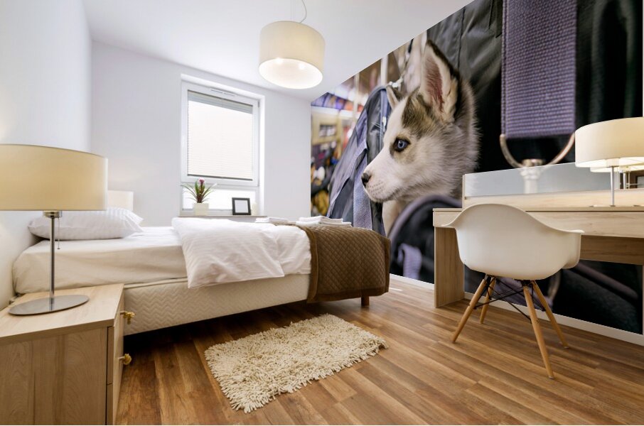 Dog riding in bag on subway in Manhattan New York City Mural print