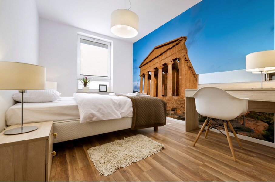 Visit to Concordia Temple in Valle dei Templi Agrigento Mural print