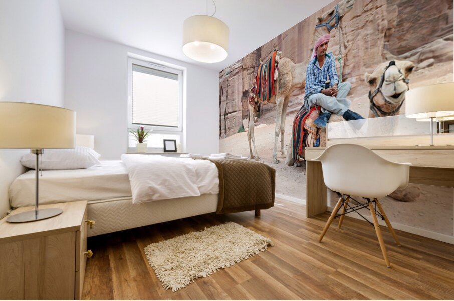 Camels wait for tourists at Petra archaeological site in Jordan Mural print