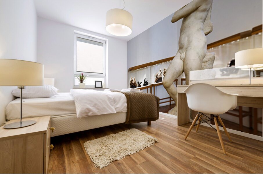 Michelangelos David Apollo in Museo Nazionale del Bargello Flo Mural print