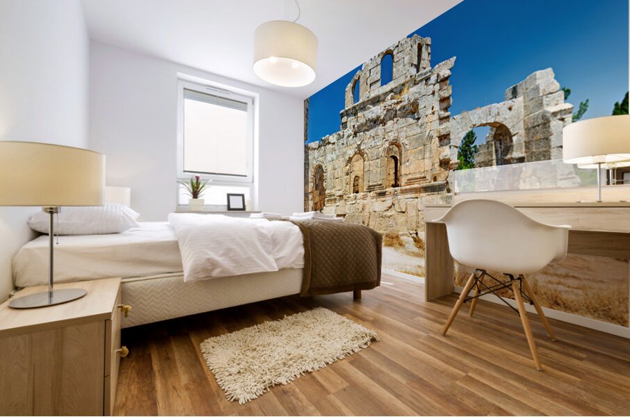 Church of Saint Simeon Stylites in Syria shows ancient stone rui Mural print