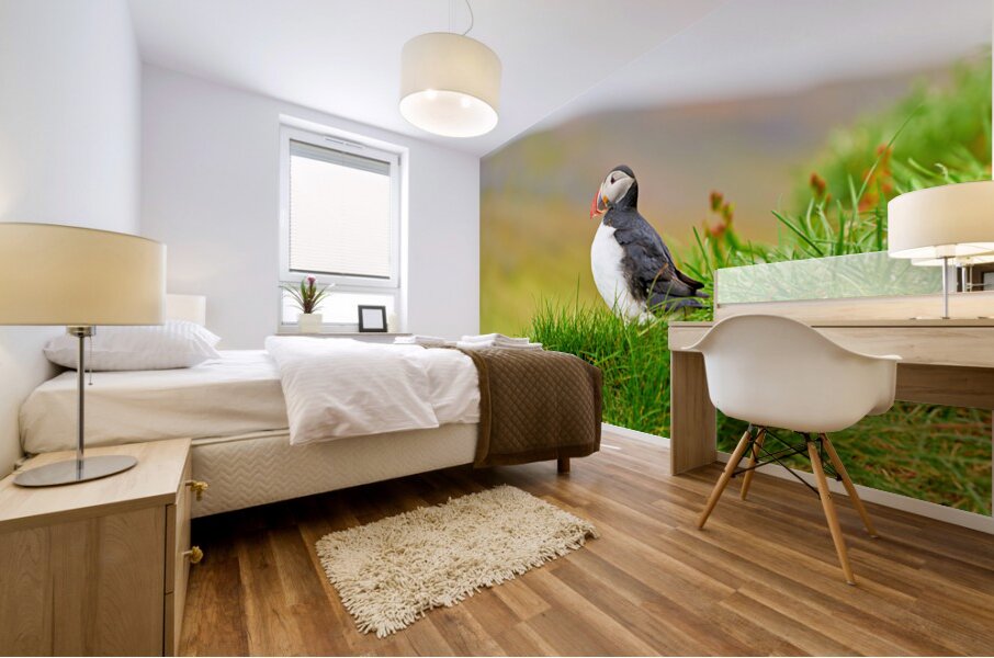 Puffin standing on grass in Borgarfjordur Eystri Iceland Mural print