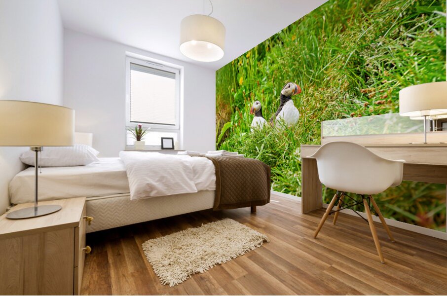 Two puffins resting in Borgarfjordur Eystri Iceland Mural print