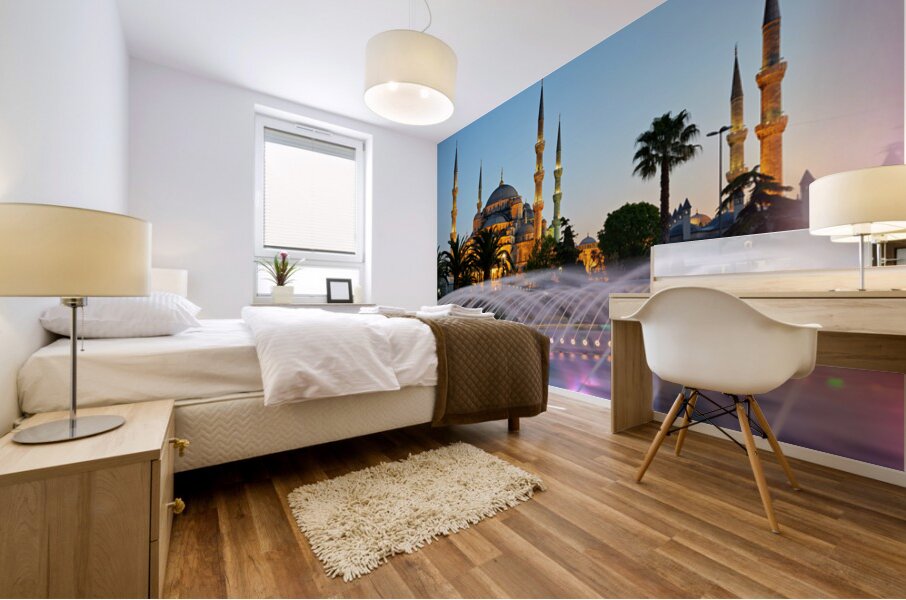 Visit to Blue Mosque and fountain at twilight in Istanbul Mural print