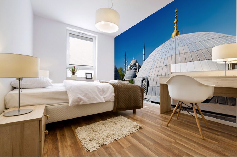 Blue Mosque domes under clear sky in Istanbul Mural print