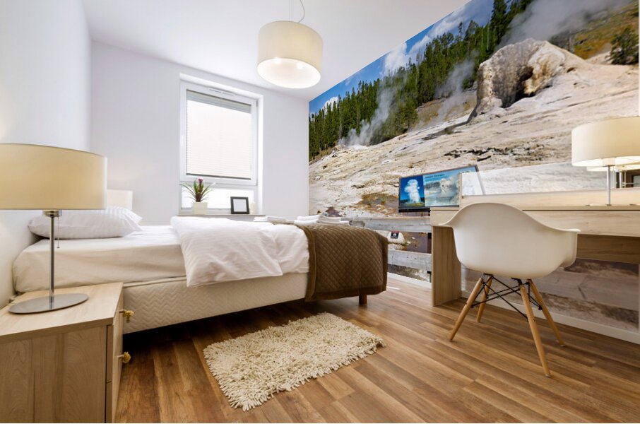 Giant Geyser erupts in Yellowstone National Park during daytime Mural print
